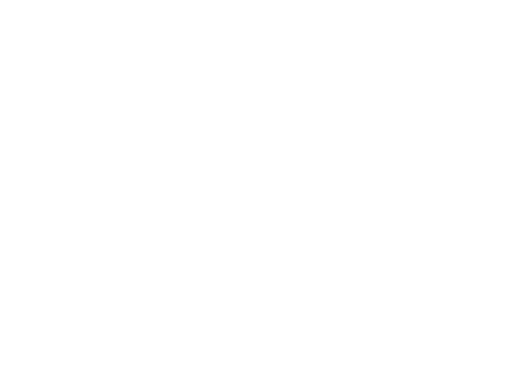 Telecrane logo bianco